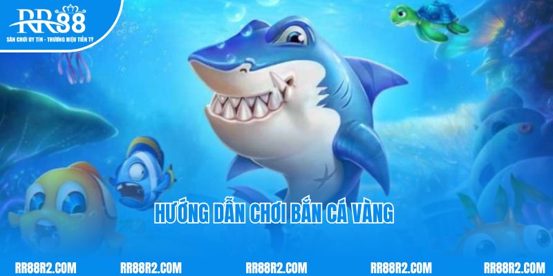 Hướng dẫn chơi Bắn cá Vàng RR88