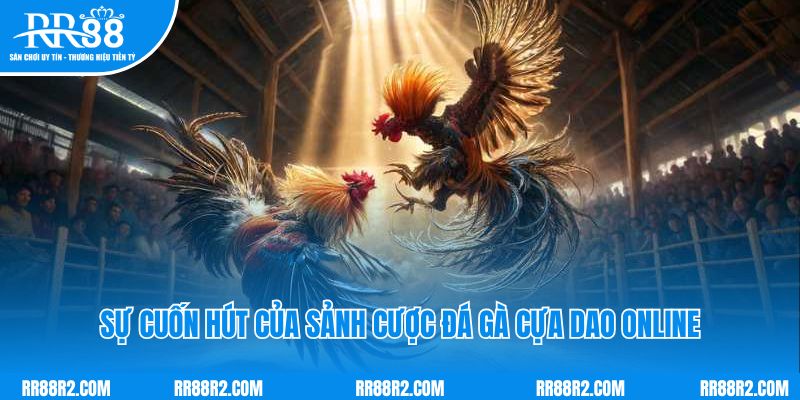 Sự cuốn hút của sảnh cược đá gà cựa dao online