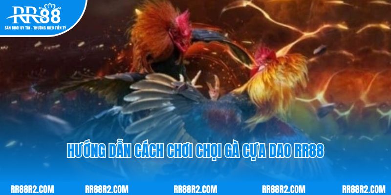 Hướng dẫn cách chơi chọi gà cựa dao RR88 online